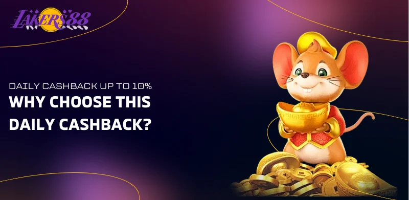 Daily Cashback Up to 10% – Get Rewards Every Day! 3 why choose this daily cashback